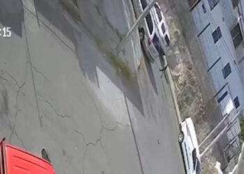 Atacan dos perros de raza grande a niño de 8 años en la colonia Avícola I