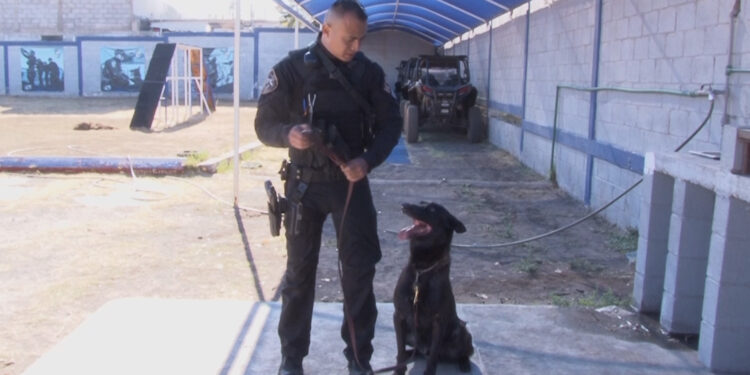 Destacan ejemplares por acciones en el Grupo K-9