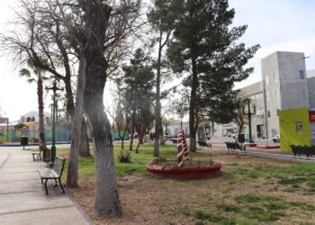 Cuida tus plantas del frío; Municipio brinda recomendaciones