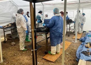 Suma FGE 185 personas identificadas del crematorio ‘Plenitud’