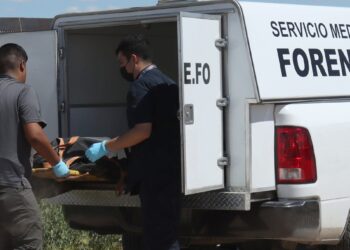 Solicitan colaboración para identificar a mujer localizada sin vida en la Nueva España