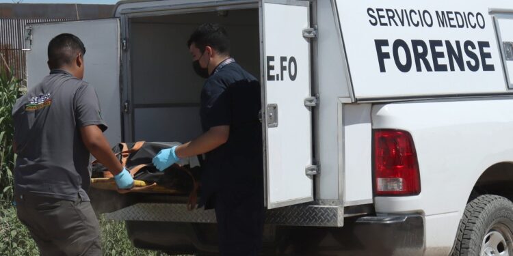 Solicitan colaboración para identificar a mujer localizada sin vida en la Nueva España