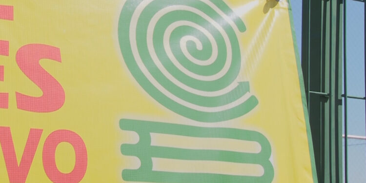 Cuatro jóvenes del COBACH 4 resultan intoxicados por clonazepam