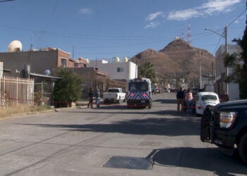 Adulto mayor muere tras ataque de su perro