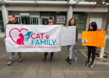 Exigen justicia por la muerte del agente canino Vico