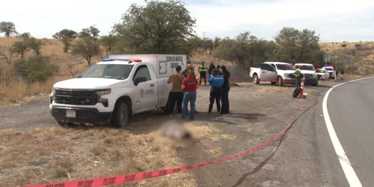 Localizan cuerpo sin vida en la carretera Chihuahua–Cuauhtémoc