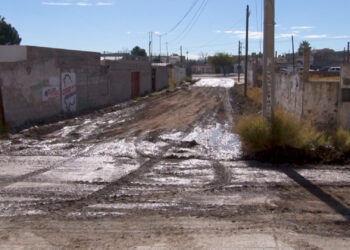 “El lago de los cisnes”, fuga viral que persiste desde hace cinco años