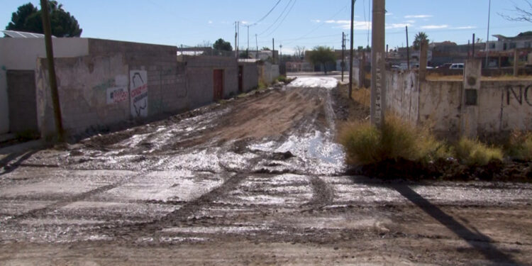 “El lago de los cisnes”, fuga viral que persiste desde hace cinco años