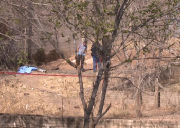 Hallan sin vida a mujer rarámuri en la colonia Reforma de Cuauhtémoc