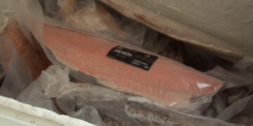 Llaman a estar alerta por mariscos en mal estado