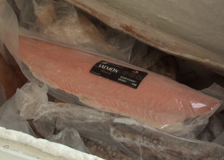 Llaman a estar alerta por mariscos en mal estado