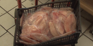 Capitalinos evitan puestos de mariscos por higiene durante la cuaresma