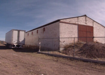 Refugio animal de la colonia Universitario mantiene protocolos de bienestar