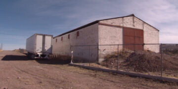 Refugio animal de la colonia Universitario mantiene protocolos de bienestar