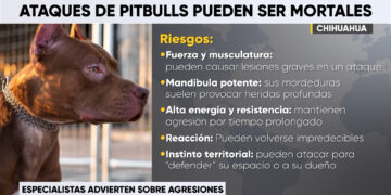 Expertos alertan sobre ataques de pitbull