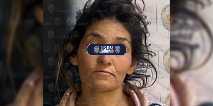 Detienen a mujer acusada de maltrato animal en la colonia Villa Juárez