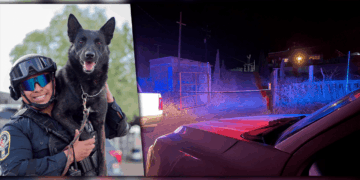 Perro policía es atacado con machete por un joven intoxicado