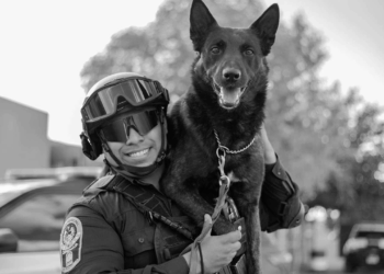 Fallece Vico, perro policía que fue atacado con machete