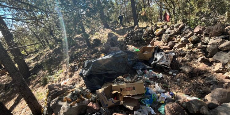 Destruye SSPE campamentos improvisados en zona serrana de Guachochi