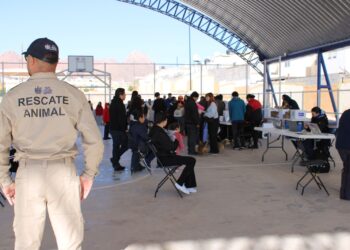 Habrá vacunación y desparasitación gratuita de mascotas en Jardines del Sol