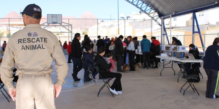 Habrá vacunación y desparasitación gratuita de mascotas en Jardines del Sol
