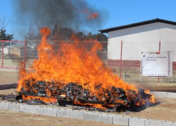 Destruyen FGE y Sedena 231 kilos de droga en combate al narcomenudeo