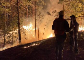 Se encienden las alarmas en la Sierra: 6 incendios forestales activos en Chihuahua
