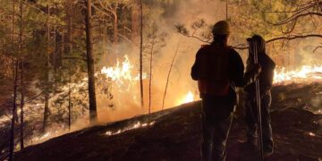 Se encienden las alarmas en la Sierra: 6 incendios forestales activos en Chihuahua
