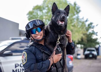 Agresor del agente canino Vico llevará su proceso en libertad