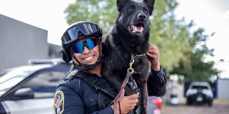 Agresor del agente canino Vico llevará su proceso en libertad