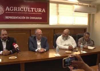 Lanzan apoyo al campo: $750 por tonelada de maíz amarillo en Chihuahua