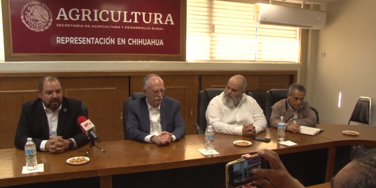 Lanzan apoyo al campo: $750 por tonelada de maíz amarillo en Chihuahua