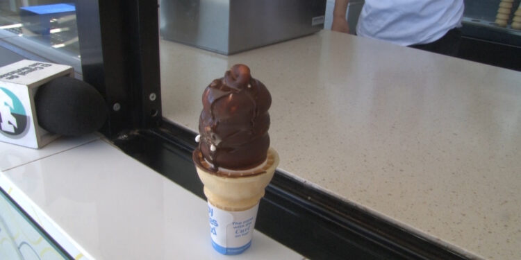 Chihuahua celebra el “Día del Cono Gratis” en Dairy Queen