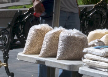 Productores bajan precio del frijol en mercados de Chihuahua