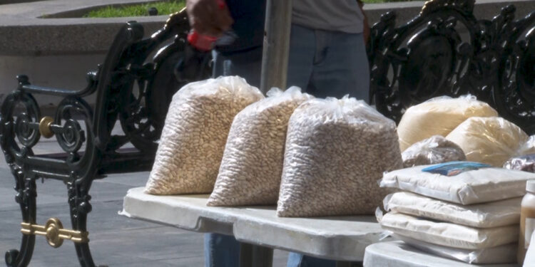 Productores bajan precio del frijol en mercados de Chihuahua