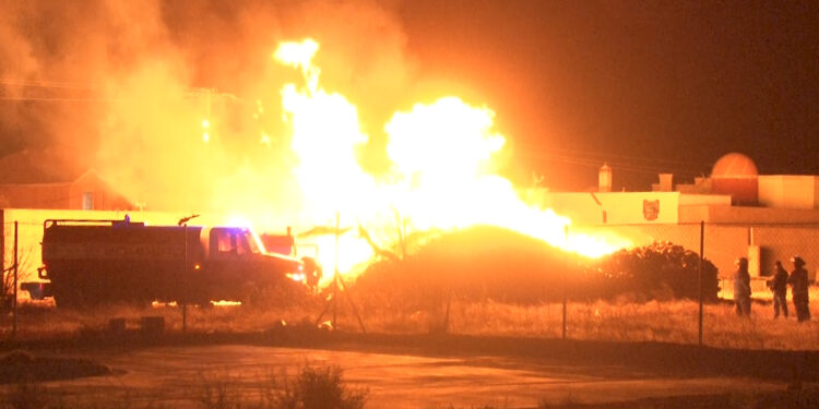 Se incendia huerta en la colonia Empleado Municipal en Cuauhtémoc