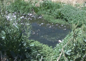 Retiran dos camiones de basura en limpieza del río Chuvíscar