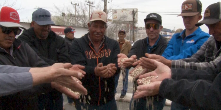 Productores de frijol bloquean acceso a Segalmex en Chihuahua