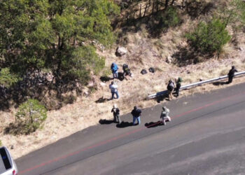 Localizó Fiscalía restos óseos durante rastreo