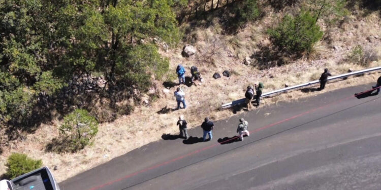 Localizó Fiscalía restos óseos durante rastreo