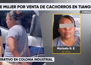 Detienen a mujer por venta ilegal de cachorros en Chihuahua