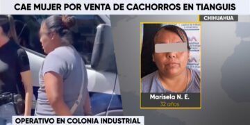 Detienen a mujer por venta ilegal de cachorros en Chihuahua