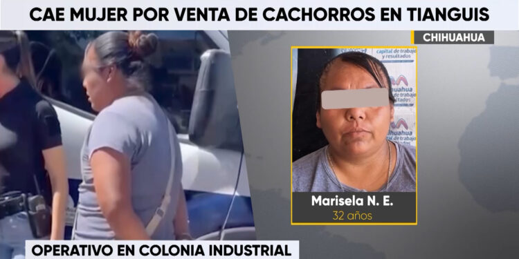 Detienen a mujer por venta ilegal de cachorros en Chihuahua