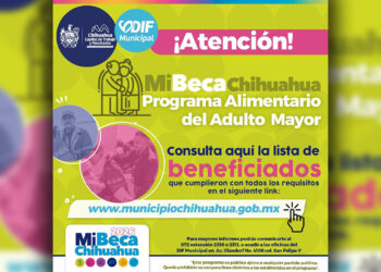 ¿Aplicaste para PAAM 2026? Anuncia Municipio los resultados