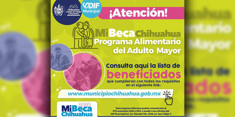 ¿Aplicaste para PAAM 2026? Anuncia Municipio los resultados