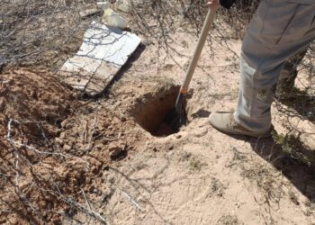 Identifican y entregan 62 cuerpos hallados en fosas de “El Willy”