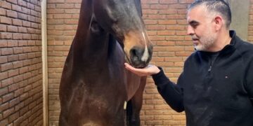 Policía Montada: vocación, disciplina y cuidado profesional