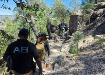 Localizan osamenta incompleta e indicios de interés criminalística