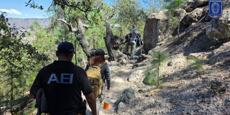 Localizan osamenta incompleta e indicios de interés criminalística