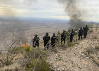 Aseguran armamento y equipo táctico en campamento improvisado en Aldama